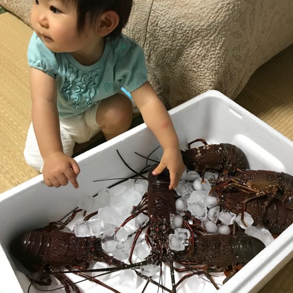 エビ３