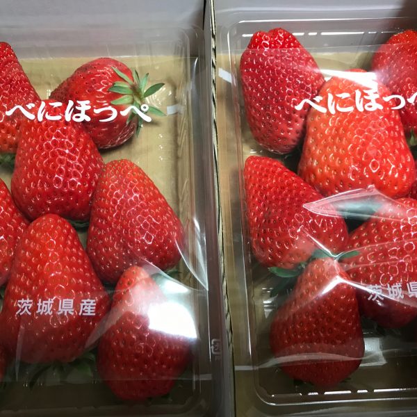 いちご