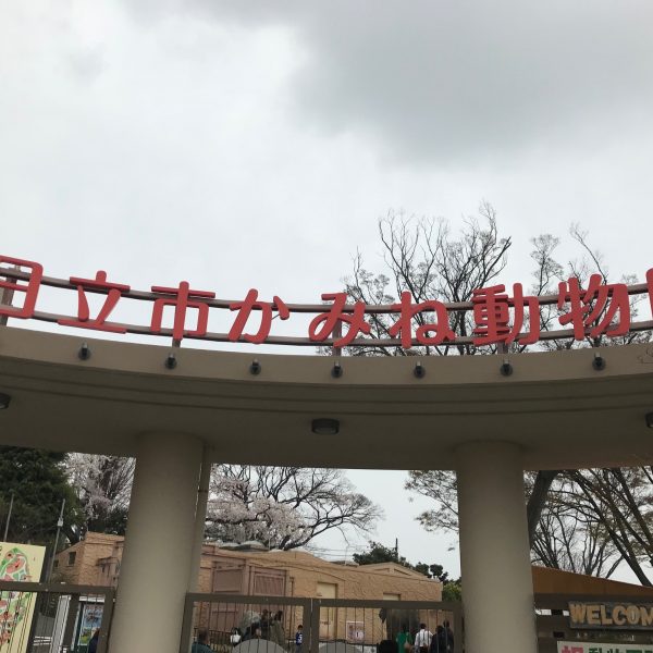 公園